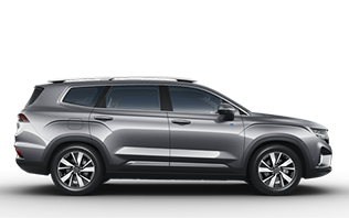 Geely Okavango